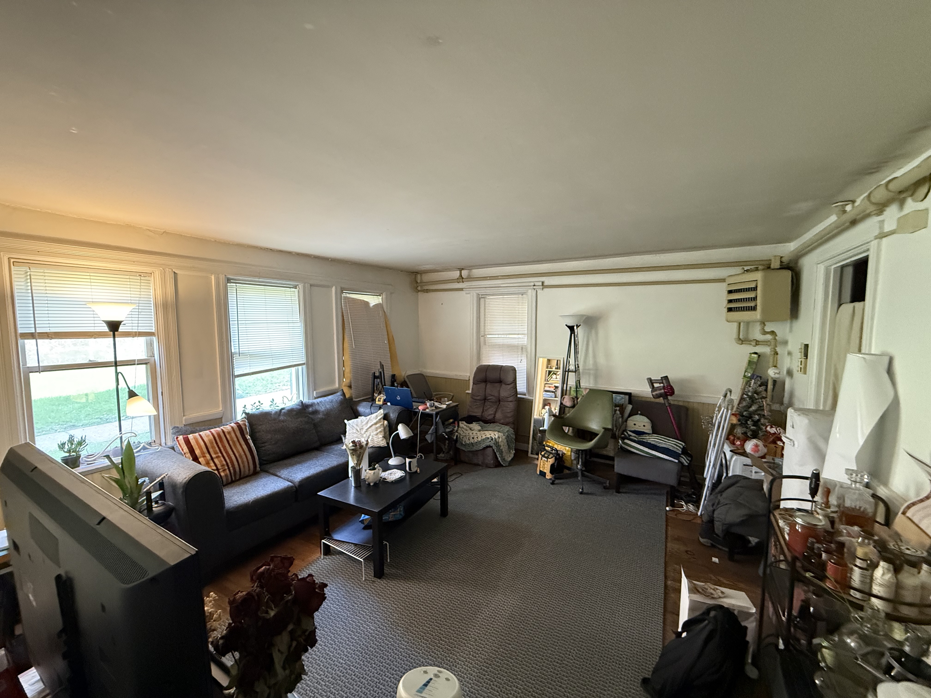 113 Osmun Pl. Apt. 1